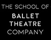 Ballet Theatre Company