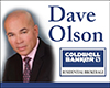 Olson, Dave - Olson Real Estate Group, eXp Realty